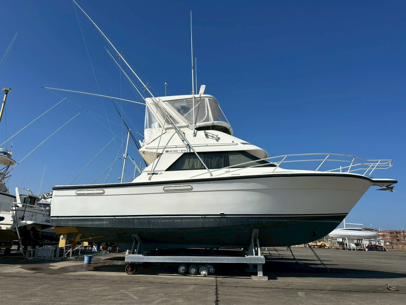 フェニックス 33写真